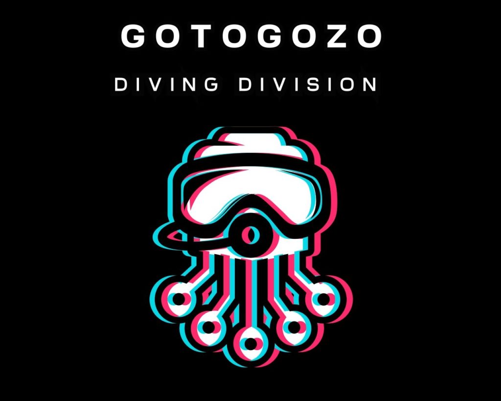go to gozo diving division